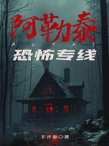 阿勒泰机场专线公交