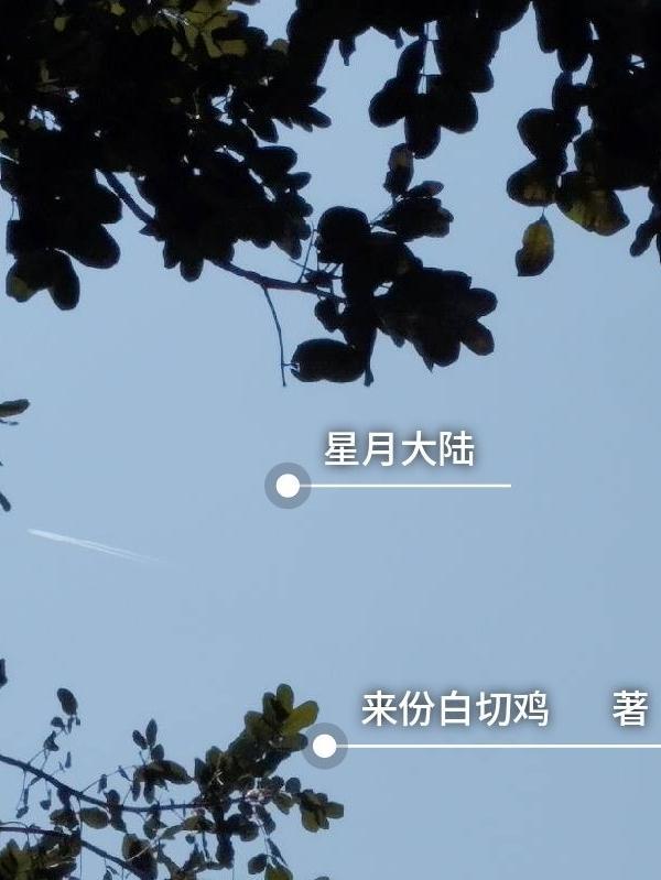 星月tx