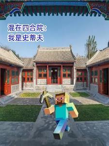 我有一个四合院陈阳叶以晴