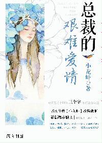 总裁的经历