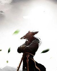 （综武侠同人）[综]弈剑听雨