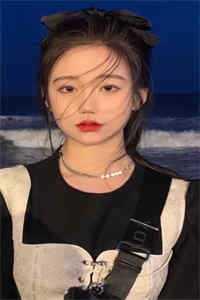 李青囊苏婉清