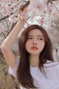 李安李承睿