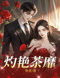 林云华苏麒安