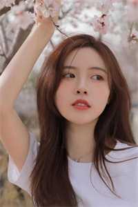 夏美夏宇