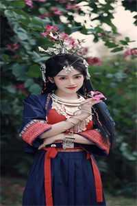 凌天王彩蝶