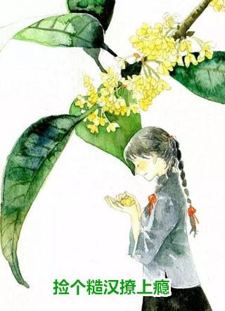 何大清秦淮茹