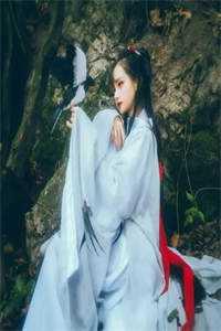 卫九阙宁婉容