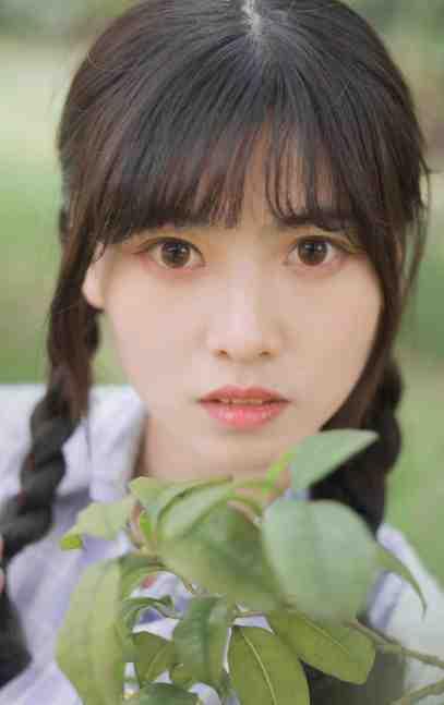 张云清赵尧