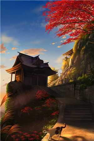抖音热门