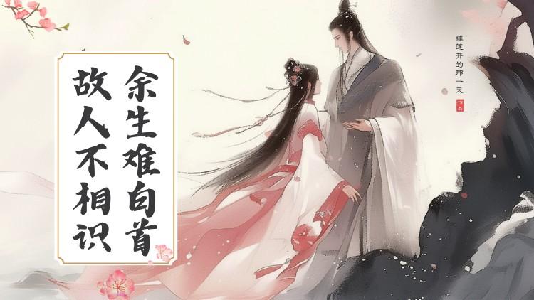 丽妃云妃