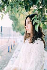 陈震张猛