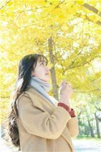 苏过苏过强