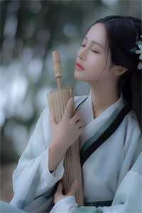 秦风吕布