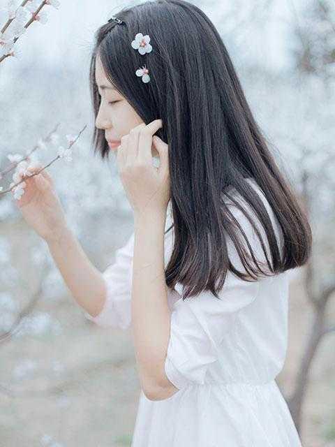 姜程姜聿