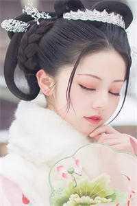 贾仪以石辉烁