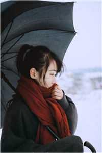 雷震苏凤仪
