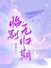 临别无归期