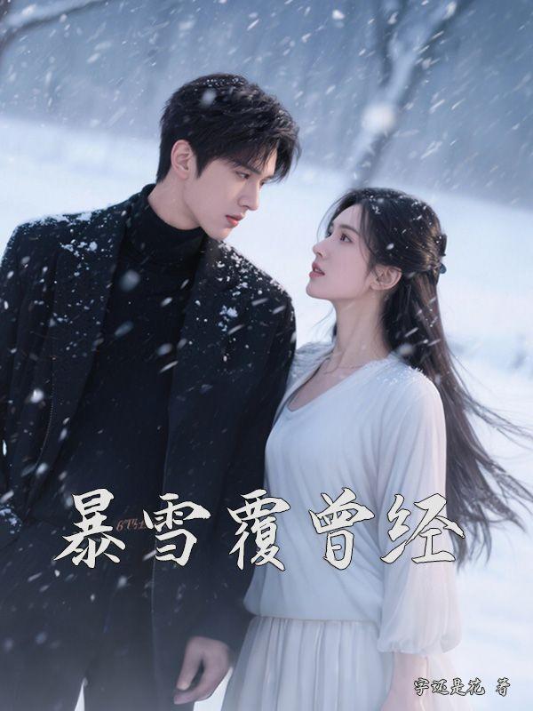 暴雪覆曾经