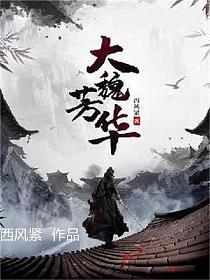 大魏芳华